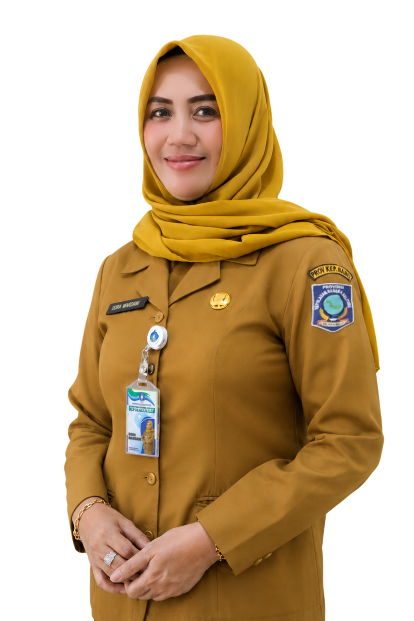 Dora Wardani, S.T.
